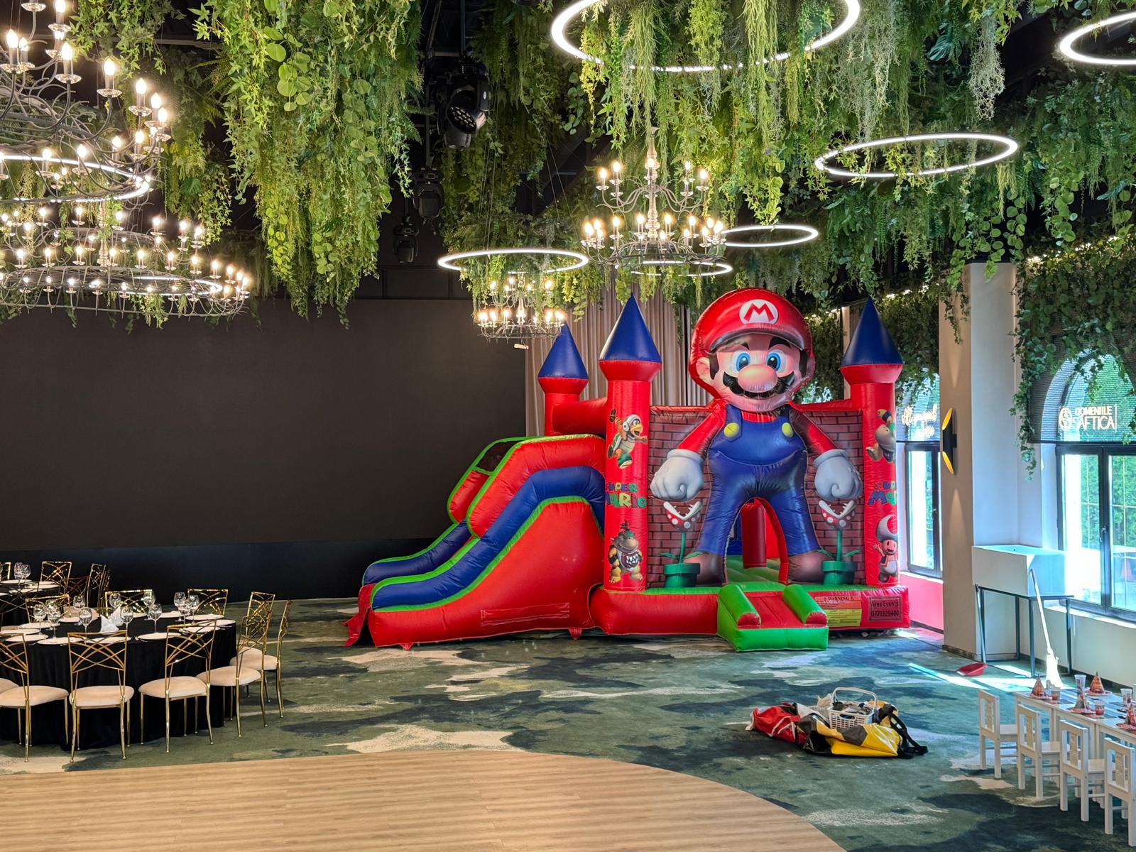 Topogan Mario - imagine 3