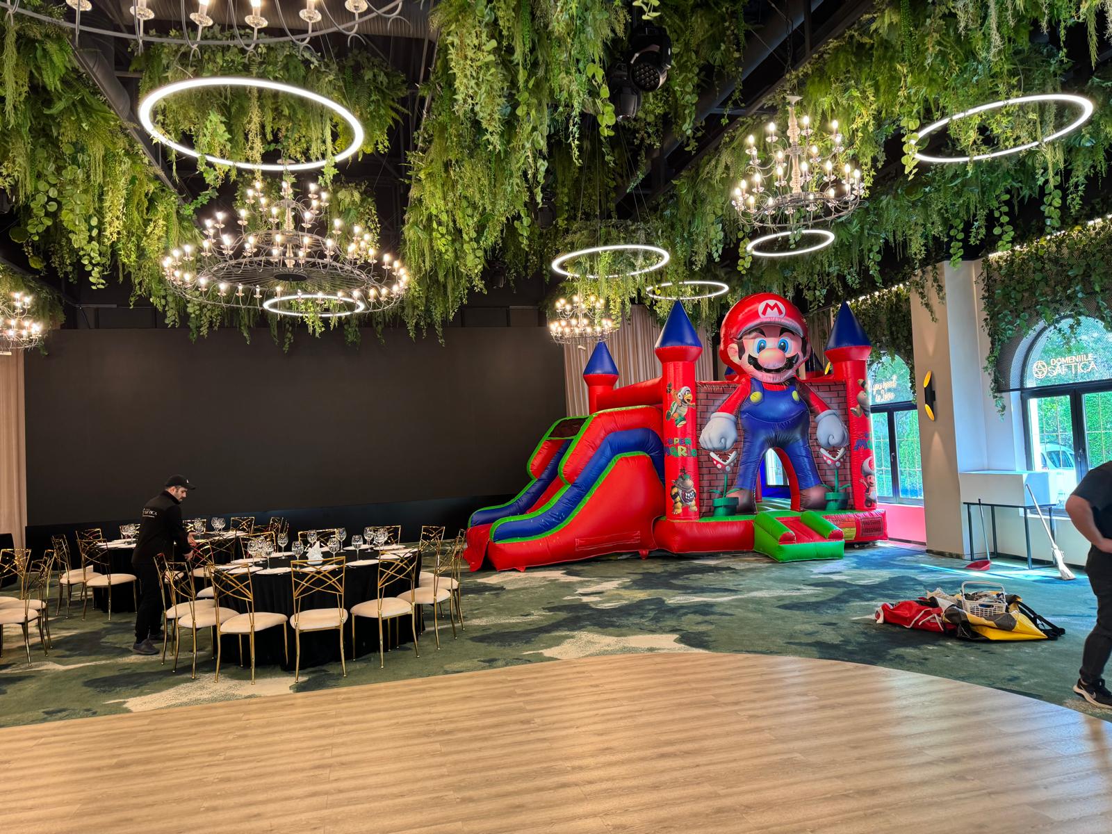 Topogan Mario - imagine 5